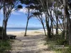 15-17 Wonboyn Road, WONBOYN Via, Eden, NSW 2551-Image