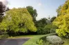 15/86 Victoria Crescent, Mont Albert, Vic 3127-Image