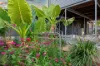 15 Anderson Street, Railway Estate, Qld 4810-Image