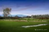 15 Arwon Court, Lilydale, Vic 3140-Image
