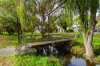 15 Banff Court, Happy Valley, SA 5159-Image