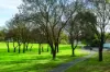 15 Banff Court, Happy Valley, SA 5159-Image