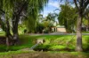 15 Banff Court, Happy Valley, SA 5159-Image