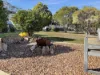 15 Barkly Street, Dunolly, Vic 3472-Image