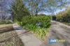 15 Barron Street, Deakin, ACT 2600-Image