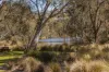 15 Belfast Street, Newtown, Vic 3220-Image