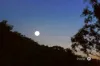 15 Bengal Place, Beerwah, Qld 4519-Image