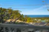 15 Bione Avenue, Banora Point, NSW 2486-Image