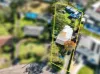 15 Birdwood Drive, Blue Haven NSW 2262-Image