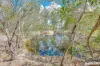 15 Bishop Drive, Bucca, Qld 4670-Image