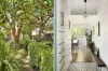 15 Blairgowrie Street, Dulwich Hill, NSW 2203-Image