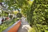 15 Blairgowrie Street, Dulwich Hill, NSW 2203-Image