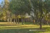 15 Bond Street, Campbell Town, Tas 7210-Image