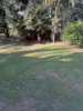 15 BRISBANE ROAD, Dinmore, Qld 4303-Image