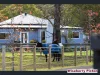 15 Buxton Ave, Buxton, NSW 2571-Image