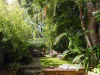 15 Campbell Avenue, Paddington, NSW 2021-Image