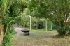 15 Carrington St, West Wallsend, NSW 2286-Image