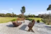 15 Cash Court, Echuca, Vic 3564-Image