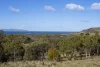 15 Cathcart Street, Swansea, Tas 7190-Image