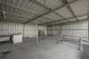 15 Cathcart Street, Swansea, Tas 7190-Image