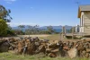 15 Cathcart Street, Swansea, Tas 7190-Image