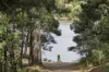 15 Central Avenue, Daylesford, Vic 3460-Image