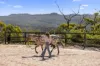 15 Chiltern Road, Ingleside, NSW 2101-Image