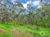 15 Clematis Drive, Blackwood, SA 5051-Image