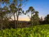 15 Colonial Drive, Gowrie Junction, Qld 4352-Image