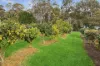 15 Corona Lane, Glenning Valley, NSW 2261-Image