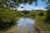 15 Creek Street, Hat Head, NSW 2440-Image