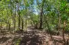 15 Dalgety Road, Humpty Doo, NT 0836-Image