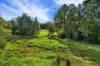 15 Dianella Court, Cooroy, Qld 4563-Image