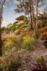 15 Dillon Road, The Gap, Qld 4061-Image