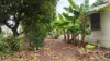 15 Drew Street, Mosman Park, Qld 4820-Image