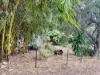 15 Drew Street, Mosman Park, Qld 4820-Image