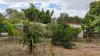 15 Drew Street, Mosman Park, Qld 4820-Image