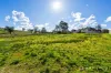 15 Durham Road, East Gresford, NSW 2311-Image