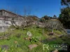15 Ecclestone Road, Riverside, Tas 7250-Image