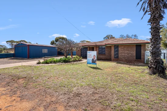 15 Flanagan Parade, Hannans, WA 6430
