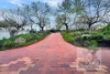 15 Ford Street, Beechworth, Vic 3747-Image