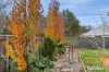 15 Giblin Street, Downer, ACT 2602-Image