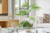 15 Gwen Street, Rouse Hill, NSW 2155-Image