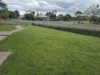 15 Hart Street, Euroa, Vic 3666-Image