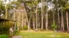 15 Hobbles Road, Wheatsheaf, Vic 3461-Image