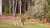 15 Hobbles Road, Wheatsheaf, Vic 3461-Image