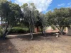 15 Holly St, Christies Beach, SA 5165-Image