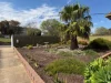 15 Holly St, Christies Beach, SA 5165-Image