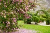 15 Hurlingham Avenue, Burradoo, NSW 2576-Image