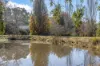 15 Jim Road, Newham, Vic 3442-Image